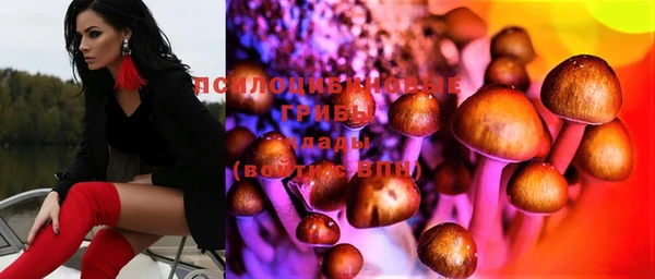 экстази Белокуриха