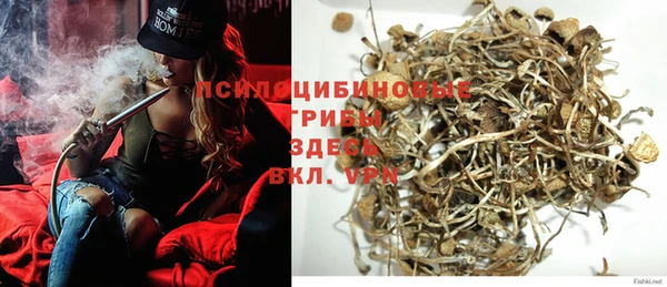 экстази Белокуриха