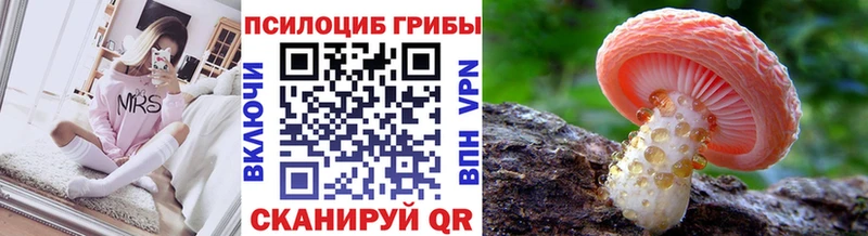 Галлюциногенные грибы мухоморы  магазин продажи наркотиков  Козловка 